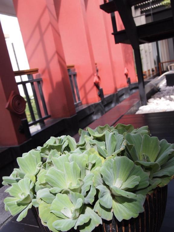 Loogchoob Homestay Бангкок Экстерьер фото